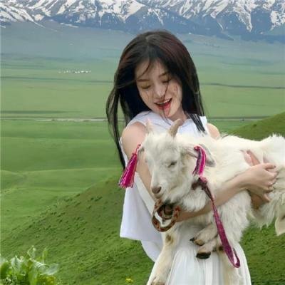 未命名的特雷·帕克电影